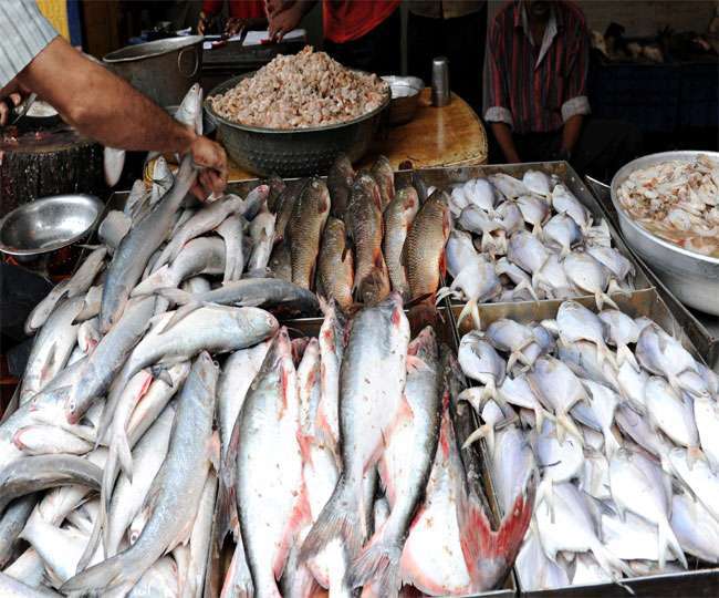 पटना में 15 दिनों तक नहीं बिकेगी मछली, बेचा तो सात साल की जेल,10 लाख जुर्माना