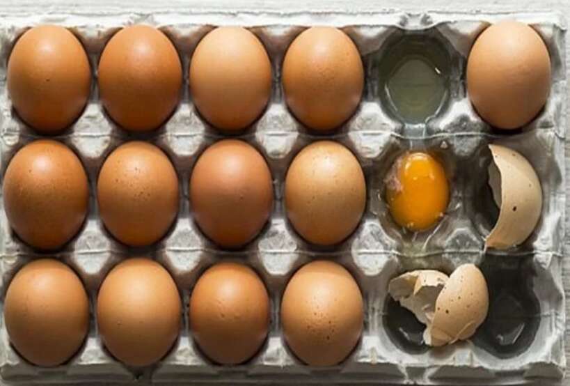 फ्रिज में रखे अंडे ने मचाया भौकाल, मालकिन ने कर डाली एंबूलेंस में कॉल