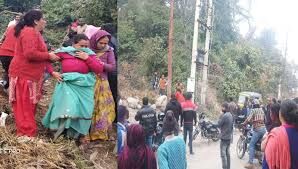 जंगल में बाघिन को देख पेड़ पर चढ़ा युवक, बीवी ने भागकर बचाई जान