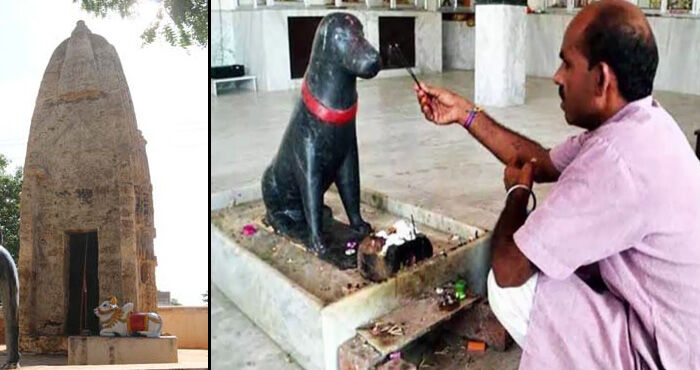 भारत का ऐसा अनोखा मंदिर जहाँ राम जी या हनुमान जी की नहीं बल्कि होती है कुत्तों की पूजा, जानें