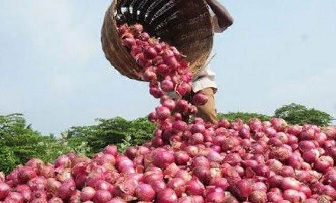 महाराष्ट्र के किसान ने प्याज बेचने से हुई 6 रुपये की कमाई मुख्यमंत्री को भेजी