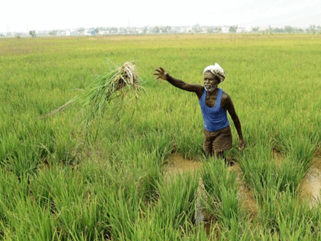 किसानों के लिए अच्छी खबर नहीं: मानसून आने में देर हो सकती