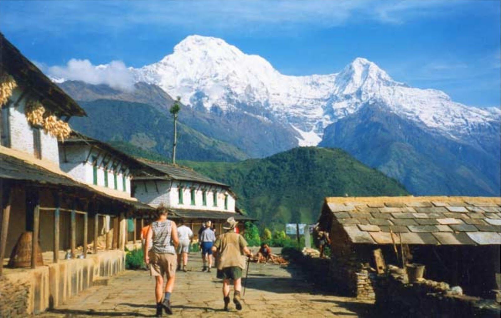 तेजी से बदल रहे हिमालय के पर्यावरण ने दिए खतरनाक संकेत, वैज्ञानिकों ने सूखे की जताई आशंका