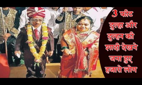 तीन फ़ीट के दूल्हा और दुल्हन की अनोखी शादी को देखने के लिए जमा हुए हजारो लोग तीन फ़ीट के दूल्हा और दुल्हन की अनोखी शादी को देखने के लिए जमा हुए हजारो लोग