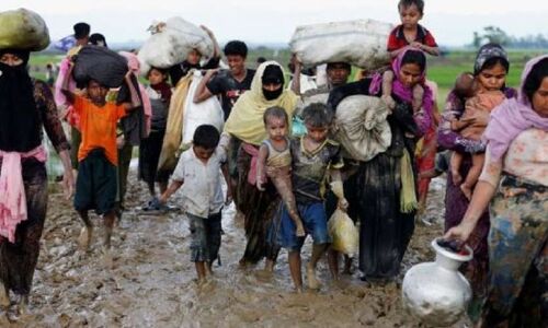 केंद्र सरकार से शरणार्थियों ने की गुहार, कहा- म्यांमार वापस ना भेजें, जिन 7 को भेजा वो भी मार दिए जाएंगे केंद्र सरकार से शरणार्थियों ने की गुहार, कहा- म्यांमार वापस ना भेजें, जिन 7 को भेजा वो भी मार दिए जाएंगे