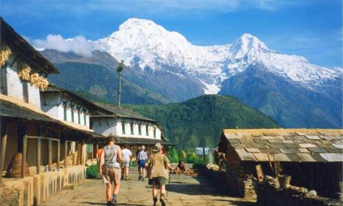 तेजी से बदल रहे हिमालय के पर्यावरण ने दिए खतरनाक संकेत, वैज्ञानिकों ने सूखे की जताई आशंका तेजी से बदल रहे हिमालय के पर्यावरण ने दिए खतरनाक संकेत, वैज्ञानिकों ने सूखे की जताई आशंका