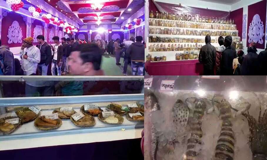 दीघा में शुरू हुआ Sea Food Festival, मछलियों की 180 प्रजातियों की प्रदर्शनी