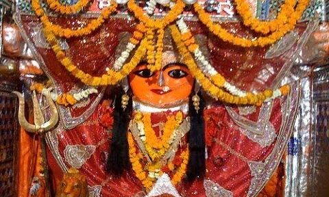 शाकंभरी माता चालीसा