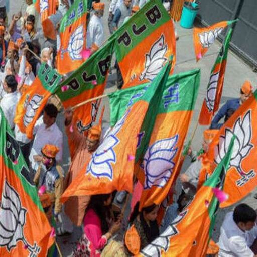 चार से अधिक विधानसभा क्षेत्र हारे भाजपा सांसदों के टिकट पर संकट