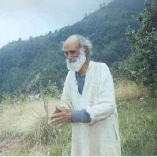 बड़े भाई की मौत के बाद हुई धुन सवार; उगा दिया जंगल, जानिए