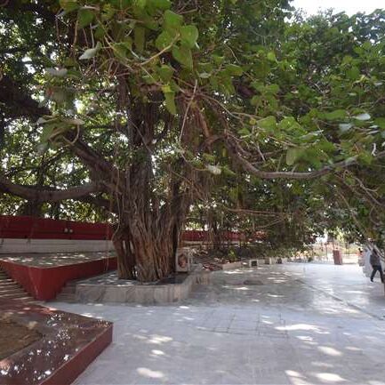 अक्षयवट का दर्शन कर पांच लाख से ज्यादा श्रद्धालुओं को मिला मोक्ष का वरदान