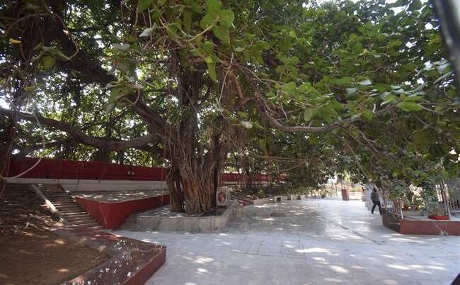 अक्षयवट का दर्शन कर पांच लाख से ज्यादा श्रद्धालुओं को मिला मोक्ष का वरदान अक्षयवट का दर्शन कर पांच लाख से ज्यादा श्रद्धालुओं को मिला मोक्ष का वरदान