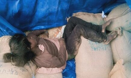 रीवा: अनाज की बोरियो में दबकर किशोरी की मौत, खरीदी केंद्र में फैली सनसनी