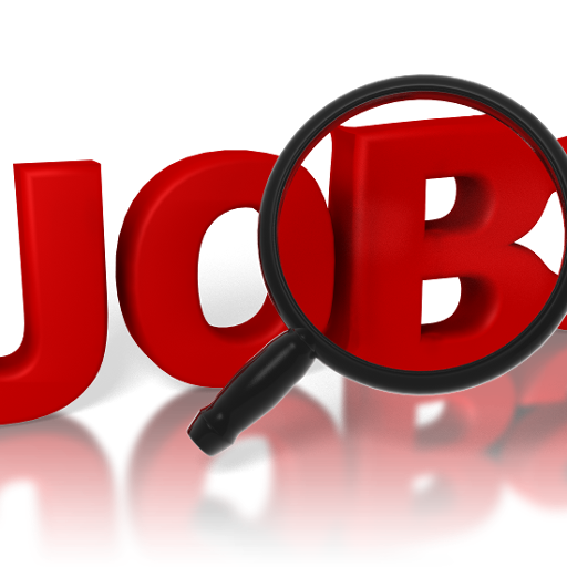 राजस्व विभाग में बम्पर भर्ती, 12वीं पास युवाओं को 42 हजार रु वेतन