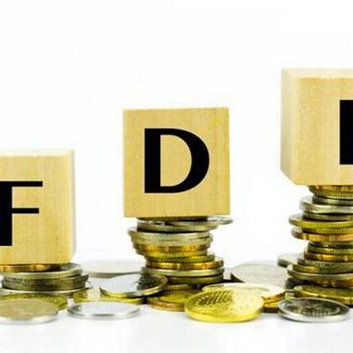 टैक्स हैवन देश भर रहे हैं भारत का खजाना, इस छोटे से देश से आया सबसे ज्यादा निवेश