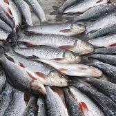 इस तरह से महिलाएं करती हैं अपने पार्टनर को उत्तेजित