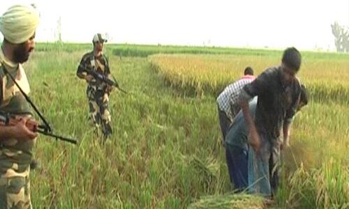 12 करोड़ किसान परिवारों के लिए बड़ा ऐलान, हर साल मिलेगी 6 हजार रुपये की सीधी मदद