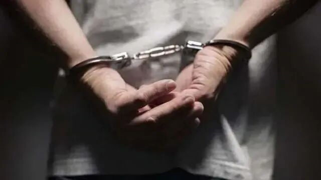 पे एंड स्टे घोटाले में गिरफ्तार हुए 130 प्रवासियों में से 129 भारतीय छात्र, दूतावास ने जारी किए नंबर