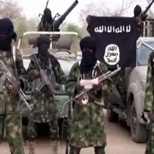 बोको हराम ने नाइजीरिया में 60 लोगों की हत्या की: एमनेस्टी