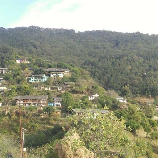 इस गांव ने पेश की मिसाल, बंजर भूमि पर उगा दिया जंगल