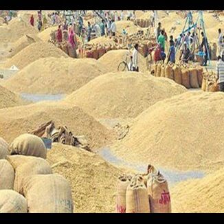 किसान पर सरकारें ऐसी मेहरबान कि धान खरीद में कर दिया दो-दो बार भुगतान
