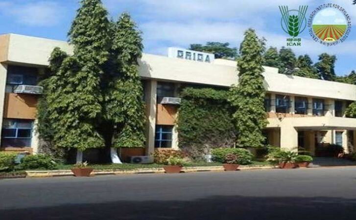 सेंट्रल रिसर्च इंस्टीट्यूट में भर्तियां, वेतन 25 हजार रु से अधिक