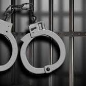 ब्रिटिश महिला का पर्स लेकर भागा चोर निकला ग्रेजुएट, ऐसे आया हिरासत में...