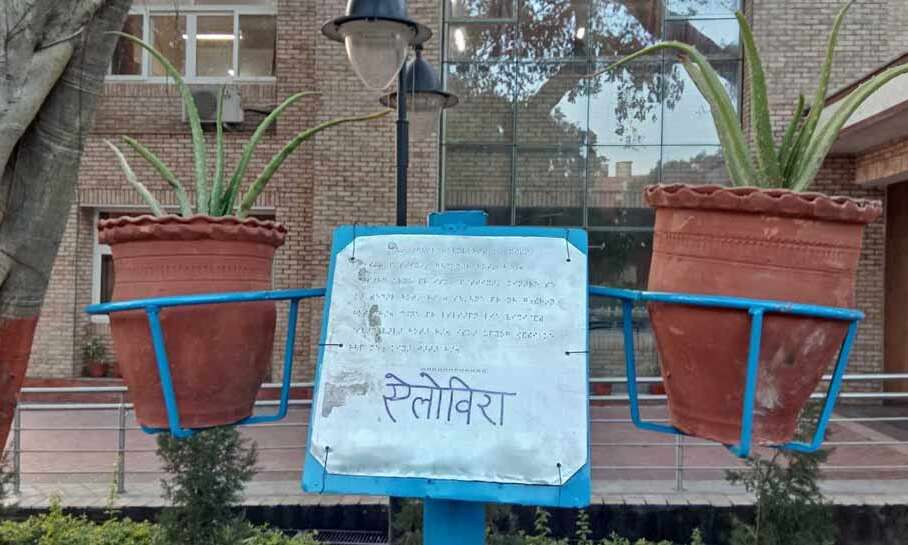 नेत्रहीन भी अब ले पाएंगे धरती की सुंदरता का आनंद,