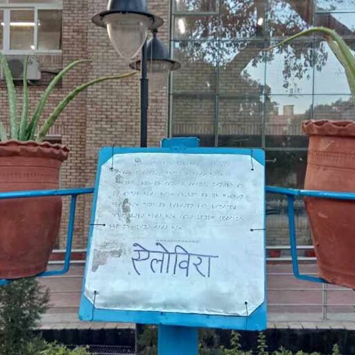 नेत्रहीन भी अब ले पाएंगे धरती की सुंदरता का आनंद,