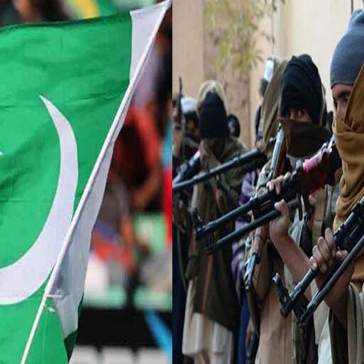 पाकिस्‍तान देता है जैश-ए-मोहम्‍मद समेत खूंखार आतंकी संगठनों को पनाह