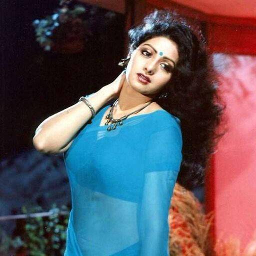 श्रीदेवी की साड़ी की नीलामी इतने लाख तक पहुंची, आज है पहली बरसी