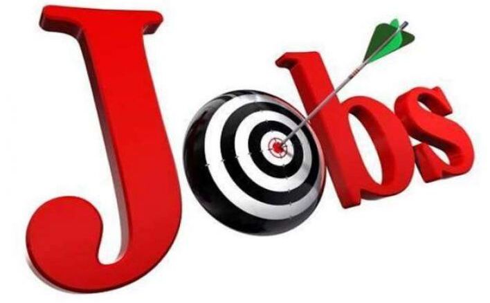 यहां 750 पदों पर होगी भर्ती, टीजीटी, क्रिकेटर और प्रिंसिपल के पद खाली