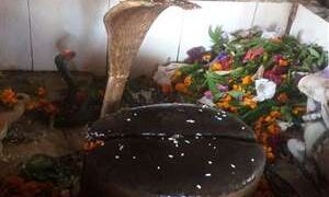 कुछ उदाहरण देखिए बाबा का शिवाला जंगल में है तो जंगलीनाथ हो गए