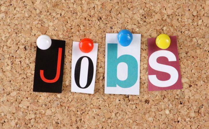 4950 पद पड़े हैं खाली, विशेष सर्वेक्षण अमीन के लिए वैकेंसी