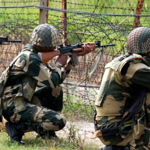 घुसपैठ की कोशिश कर रहे पाकिस्‍तानी नागरिक को BSF ने भारत-पाक सीमा से किया गिरफ्तार