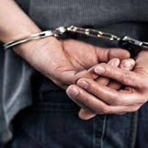 विक्टोरिया की सुप्रीम कोर्ट के अधिकारियों ने बताया कि वादी ने पेल के खिलाफ मामला दर्ज कराया