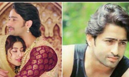 दास्तान-ए-मोहब्बत... के बंद होने पर अब खुली शाहीर शेख की जुबान