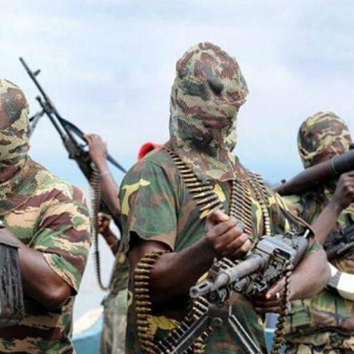 नाइजर हमले में सेना के सात जवान, बोको हराम के दर्जनों आतंकवादी मारे गए