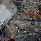 नाइजीरिया : अवैध तरीके से बिल्डिंग में चल रहा था स्कूल, जब इमारत ढही तो हुआ खुलासा