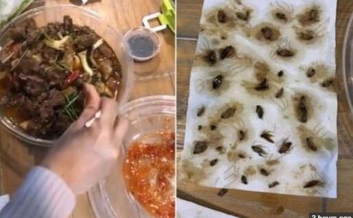 ऑनलाइन ऑर्डर करके मंगाया था खाना, निकले 40 मरे हुए कॉकरोच