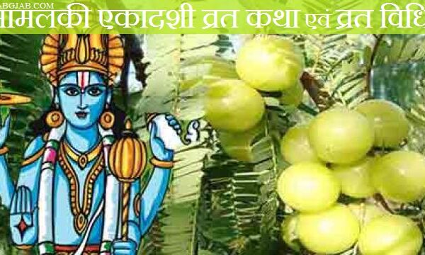 17 मार्च को है आमलकी एकादशी, जानिए क्यों रखते हैं व्रत
