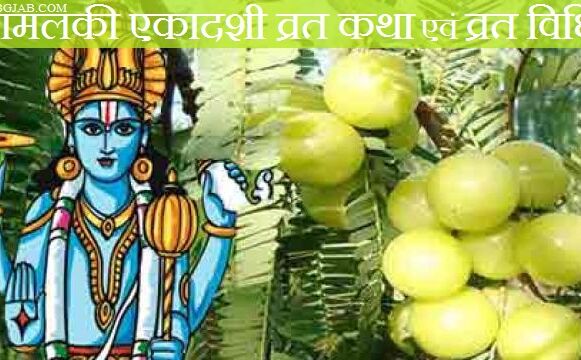 17 मार्च को है आमलकी एकादशी, जानिए क्यों रखते हैं व्रत