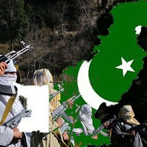 पुरानी है पाकिस्तान की ये बेशर्मी, अमेरिकी चेतावनी के बाद भी नहीं हुआ कोई असर