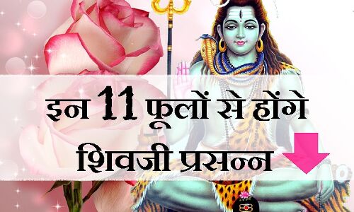 11 शुभ फूल जिनसे भगवान शिव होते हैं इतने प्रसन्न कि देते हैं अपार धन, संपदा और सफलता का वरदान