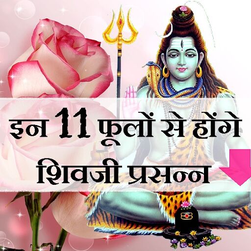 11 शुभ फूल जिनसे भगवान शिव होते हैं इतने प्रसन्न कि देते हैं अपार धन, संपदा और सफलता का वरदान