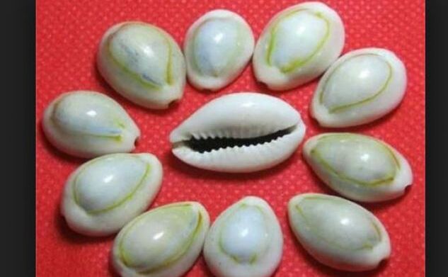 गुड़ी पड़वा के दिन हरे कपड़े में बांधकर इस दिशा में रख दें कौडियां