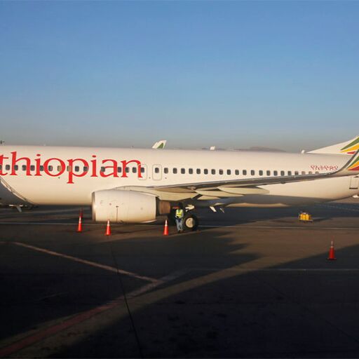 इथियोपिया और इंडोनेशिया में 737 मैक्स एयरलाइन के दुर्घटनाग्रस्त होने के बाद बोइंग ने उत्पादन में कटौती की