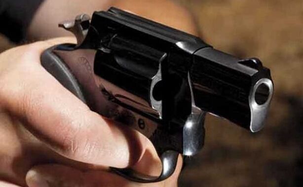 शिकागो में गोद भराई समारोह के लिए आए लोगों पर अचानक होने लगी गोलीबारी ...