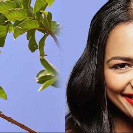 ब्यूटी के लिए इस्तेमाल करें अमरुद के पत्ते, ये हैं खासियत