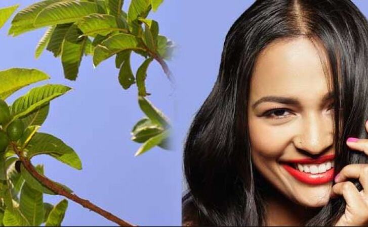 ब्यूटी के लिए इस्तेमाल करें अमरुद के पत्ते, ये हैं खासियत